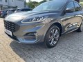 Daumennagel 17 - Ford Kuga 2.0 EcoBlue ST-Line X Start/Stopp (EURO 6d)