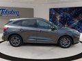 Daumennagel 4 - Ford Kuga 1.5 EcoBoost ST-Line X / Pano / B&O / Keyfr