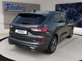 Daumennagel 5 - Ford Kuga 1.5 EcoBoost ST-Line X / Pano / B&O / Keyfr