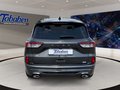 Daumennagel 6 - Ford Kuga 1.5 EcoBoost ST-Line X / Pano / B&O / Keyfr