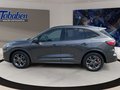 Daumennagel 8 - Ford Kuga 1.5 EcoBoost ST-Line X / Pano / B&O / Keyfr