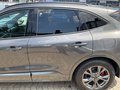Daumennagel 19 - Ford Kuga 1.5 EcoBoost ST-Line X / Pano / B&O / Keyfr