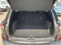 Daumennagel 21 - Ford Kuga 1.5 EcoBoost ST-Line X / Pano / B&O / Keyfr