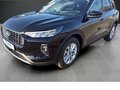Daumennagel 21 - Ford Kuga Titanium Titanium Winterp.+Tempom.+Klima