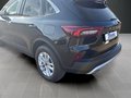 Daumennagel 22 - Ford Kuga Titanium Titanium Winterp.+Tempom.+Klima