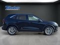 Daumennagel 4 - Ford Kuga Titanium Titanium Winterp.+Tempom.+Klima