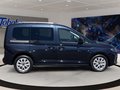 Daumennagel 4 - Ford Tourneo Connect Titanium PHEV