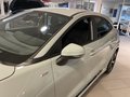 Daumennagel 20 - Ford Puma ST -Line