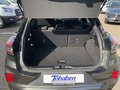 Daumennagel 21 - Ford Puma ST-Line 1.0 MHD Navi Klima LED PDC
