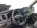 Daumennagel 11 - Ford Transit 350L3H2 Trend Kasten