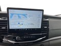 Daumennagel 12 - Ford Transit 350L3H2 Trend Kasten