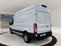 Daumennagel 7 - Ford Transit FT 350 2.0 TDCi 350 L3 Trend NAVI/TWA/RF