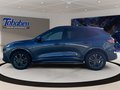 Daumennagel 8 - Ford Kuga 2.5 Duratec PHEV ST-Line X/WIPA/B&O/FAHRASS