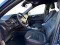 Daumennagel 10 - Ford Kuga 2.5 Duratec PHEV ST-Line X/WIPA/B&O/FAHRASS