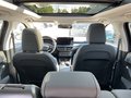 Daumennagel 22 - Ford Focus 1.5 EcoBlue Active X (EURO 6e)