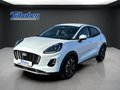 Daumennagel 1 - Ford Puma Titanium 1,0 EcoBoost MHD*SYNC*Winterp.*SHZ