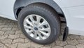 Daumennagel 5 - Ford Transit Custom Kastenwagen Trend 320 L1 2,0 l Ec