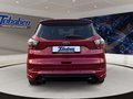Daumennagel 6 - Ford Kuga 2.0 TDCi ST-Line 4x4 Start/Stopp (EURO 6)