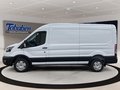 Daumennagel 3 - Ford Transit 350L3H2 Trend Kasten