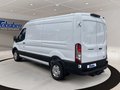 Daumennagel 4 - Ford Transit 350L3H2 Trend Kasten