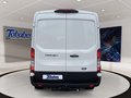 Daumennagel 5 - Ford Transit 350L3H2 Trend Kasten