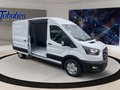 Daumennagel 9 - Ford Transit 350L3H2 Trend Kasten