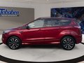 Daumennagel 8 - Ford Kuga 2.0 TDCi ST-Line 4x4 Start/Stopp (EURO 6)