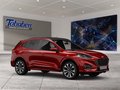 Daumennagel 7 - Ford Kuga 2.5 Duratec PHEV Titanium X KAMERA/SHZ/NAVI