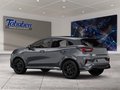 Daumennagel 4 - Ford Puma Titanium/ WIPA / Lenkrd.Hzg/1.Hd
