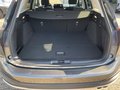 Daumennagel 21 - Ford Focus 1.5 EcoBlue Active (EURO 6e)