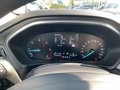 Daumennagel 24 - Ford Focus 1.5 EcoBlue Active (EURO 6e)