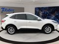 Daumennagel 4 - Ford Kuga 1.5 DIESEL Titanium PANO/AUT./NAVI