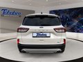 Daumennagel 6 - Ford Kuga 1.5 DIESEL Titanium PANO/AUT./NAVI