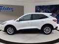 Daumennagel 8 - Ford Kuga 1.5 DIESEL Titanium PANO/AUT./NAVI
