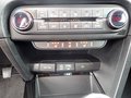 Daumennagel 17 - Kia Ceed 1.4 Vision AHK|NAV|DAB|SHZ|TEMP|RFK|KLIMA