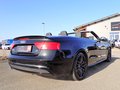 Daumennagel 11 - Audi A5 Cabriolet 3.0 TDI quattro S-line|BI-XEN|RFK|ACC|KEYLESS
