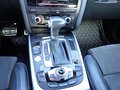 Daumennagel 21 - Audi A5 Cabriolet 3.0 TDI quattro S-line|BI-XEN|RFK|ACC|KEYLESS