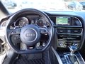 Daumennagel 16 - Audi A5 Cabriolet 3.0 TDI quattro S-line|BI-XEN|RFK|ACC|KEYLESS
