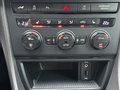 Daumennagel 13 - SEAT Leon Cupra 290 kein OPF! LED|Cam|Temp|Navi|Shz