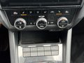 Daumennagel 7 - Skoda Octavia Combi 2,0 TDI RS Sthzg|1.HD|Carpl|ZR neu