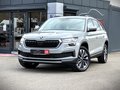 Daumennagel 1 - Skoda Kodiaq Tour 4x4