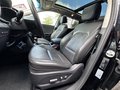 Thumbnail 9 - Hyundai SANTA FE blue Premi 4WD PANO|TEMP|LEDER|NAVI360°