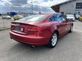 Daumennagel 6 - Audi A5 Sportback 2.0 TFSI 2.HAND|LEDER|TEMP|BI-XEN