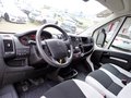 Daumennagel 29 - Peugeot Boxer 2,2 HDI Womo integr. L4 H3