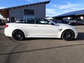 Daumennagel 7 - BMW M4 Cabrio HUP|KEYLESS|20"|H&K|RFK|NAV|LEDER|LED