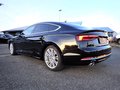 Daumennagel 4 - Audi A5 Sportback 40 TFSI sport |ACC|S-LINE|LEDER|360°|KEYLESS|PANO|STH