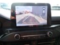 Daumennagel 11 - Ford Focus Turnier 1,0 EcoBoost ST-Line