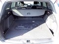 Daumennagel 15 - Ford Focus Turnier 1,0 EcoBoost ST-Line
