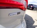 Daumennagel 24 - Ford Focus Turnier 1,0 EcoBoost ST-Line
