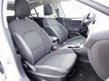 Thumbnail 19 - Ford Focus Cool&Connect AHK|PANO|RFK|ACC|LED|NAVI